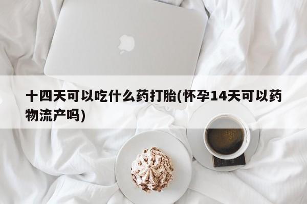 打胎药购买微信保密发货1-2天直邮到家十四天可以吃什么药打胎(怀孕14天可以药物流产吗)